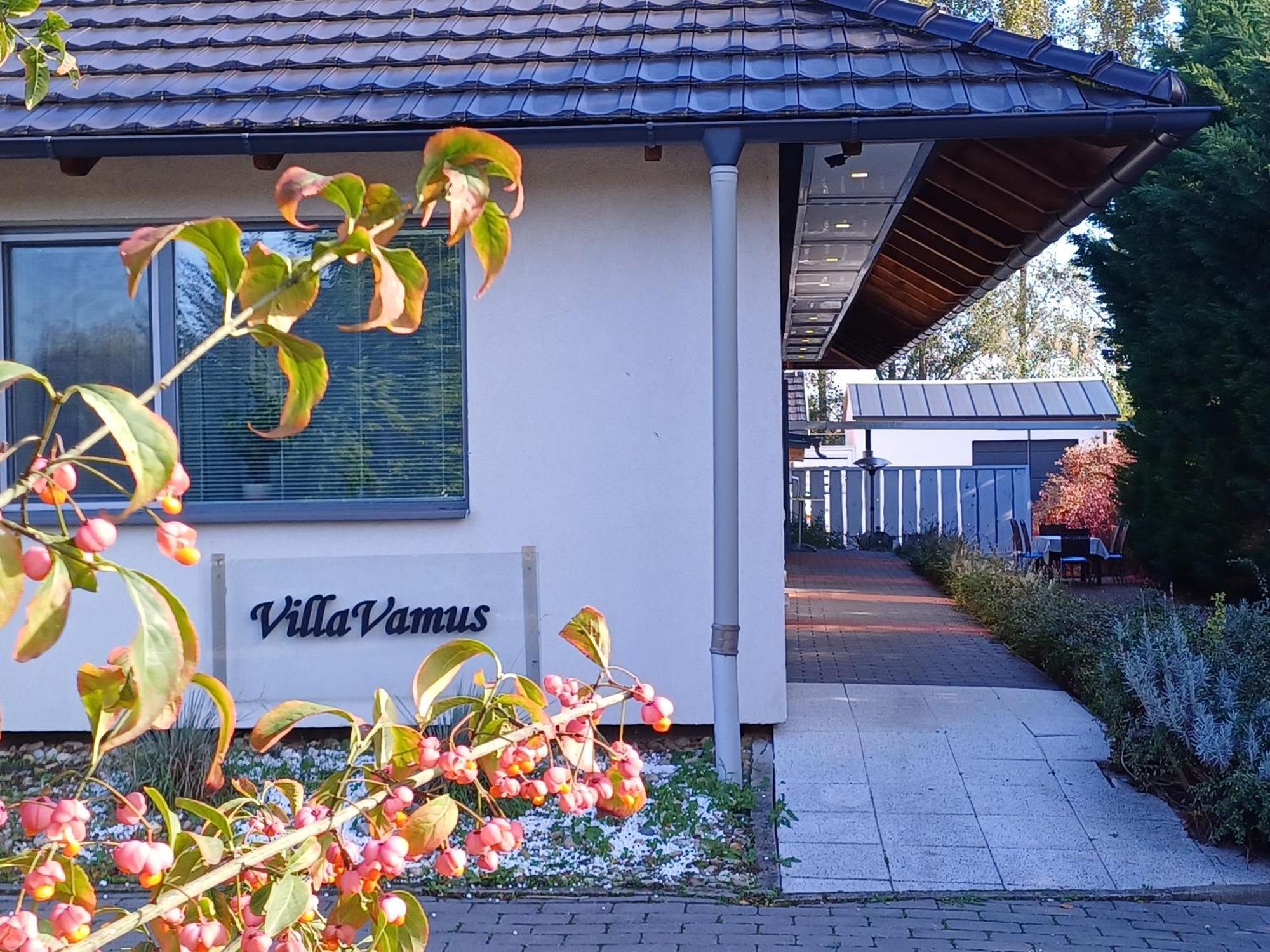 Villa Vamus Vendeg- Es Rendezvenyhaz Vamosszabadi Экстерьер фото